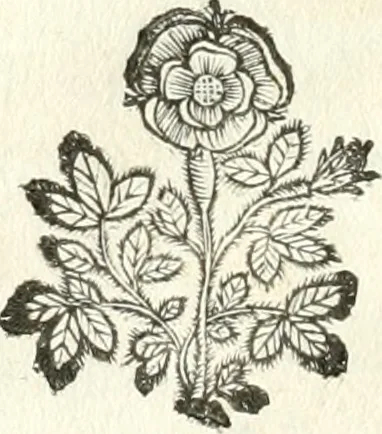 An illustration from Theatrvm omnivm scientiarvm, sive, Apparatvs qvo exceptvs fvit exc.mvs princeps d. Innicvs de Gvevara et Tassis, comes de Oñate & Villamediana, &c. ac Neapolitani regni prorex sapientissimvs, in Neapolitana academia in instavratione stvdiorvm anni MDCXLIX : cvm post sedatos Neapolitani regni tvmvltvs tanto principe avspice neapolitana Pallas armorvm tvrbine pene abrvta capvt erexit, 1650, leaf 35