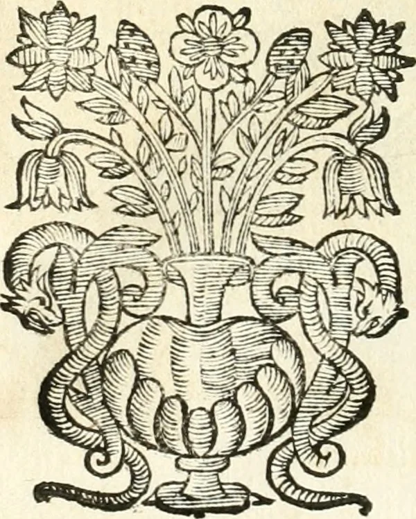 An illustration from Theatrvm omnivm scientiarvm, sive, Apparatvs qvo exceptvs fvit exc.mvs princeps d. Innicvs de Gvevara et Tassis, comes de Oñate & Villamediana, &c. ac Neapolitani regni prorex sapientissimvs, in Neapolitana academia in instavratione stvdiorvm anni MDCXLIX : cvm post sedatos Neapolitani regni tvmvltvs tanto principe avspice neapolitana Pallas armorvm tvrbine pene abrvta capvt erexit, 1650, leaf 39