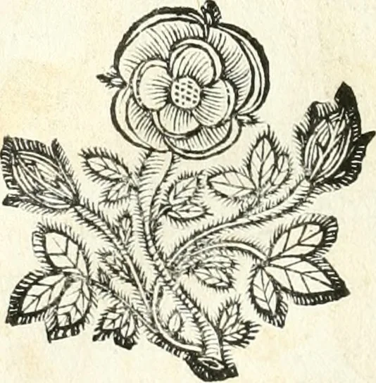 An illustration from Theatrvm omnivm scientiarvm, sive, Apparatvs qvo exceptvs fvit exc.mvs princeps d. Innicvs de Gvevara et Tassis, comes de Oñate & Villamediana, &c. ac Neapolitani regni prorex sapientissimvs, in Neapolitana academia in instavratione stvdiorvm anni MDCXLIX : cvm post sedatos Neapolitani regni tvmvltvs tanto principe avspice neapolitana Pallas armorvm tvrbine pene abrvta capvt erexit, 1650, leaf 43