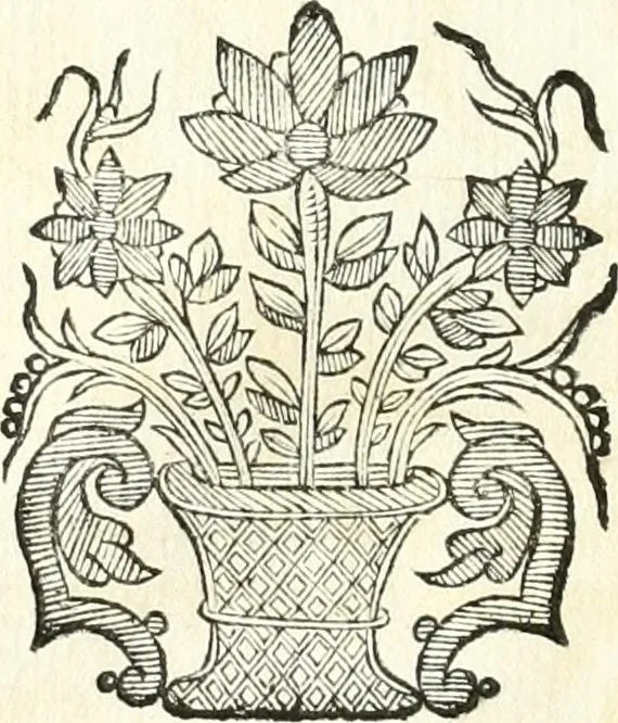 An illustration from Theatrvm omnivm scientiarvm, sive, Apparatvs qvo exceptvs fvit exc.mvs princeps d. Innicvs de Gvevara et Tassis, comes de Oñate & Villamediana, &c. ac Neapolitani regni prorex sapientissimvs, in Neapolitana academia in instavratione stvdiorvm anni MDCXLIX : cvm post sedatos Neapolitani regni tvmvltvs tanto principe avspice neapolitana Pallas armorvm tvrbine pene abrvta capvt erexit, 1650, leaf 47