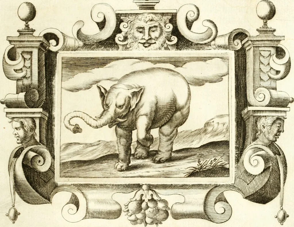 An illustration from Theatrvm omnivm scientiarvm, sive, Apparatvs qvo exceptvs fvit exc.mvs princeps d. Innicvs de Gvevara et Tassis, comes de Oñate & Villamediana, &c. ac Neapolitani regni prorex sapientissimvs, in Neapolitana academia in instavratione stvdiorvm anni MDCXLIX : cvm post sedatos Neapolitani regni tvmvltvs tanto principe avspice neapolitana Pallas armorvm tvrbine pene abrvta capvt erexit, 1650, leaf 48