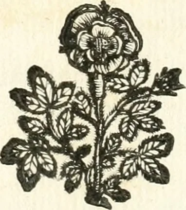 An illustration from Theatrvm omnivm scientiarvm, sive, Apparatvs qvo exceptvs fvit exc.mvs princeps d. Innicvs de Gvevara et Tassis, comes de Oñate & Villamediana, &c. ac Neapolitani regni prorex sapientissimvs, in Neapolitana academia in instavratione stvdiorvm anni MDCXLIX : cvm post sedatos Neapolitani regni tvmvltvs tanto principe avspice neapolitana Pallas armorvm tvrbine pene abrvta capvt erexit, 1650, leaf 59