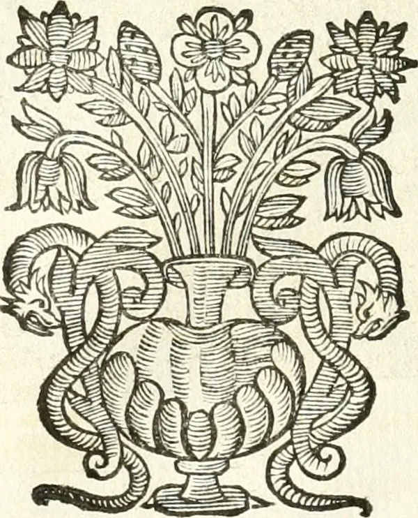 An illustration from Theatrvm omnivm scientiarvm, sive, Apparatvs qvo exceptvs fvit exc.mvs princeps d. Innicvs de Gvevara et Tassis, comes de Oñate & Villamediana, &c. ac Neapolitani regni prorex sapientissimvs, in Neapolitana academia in instavratione stvdiorvm anni MDCXLIX : cvm post sedatos Neapolitani regni tvmvltvs tanto principe avspice neapolitana Pallas armorvm tvrbine pene abrvta capvt erexit, 1650, leaf 75