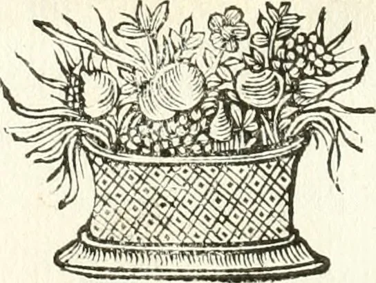 An illustration from Theatrvm omnivm scientiarvm, sive, Apparatvs qvo exceptvs fvit exc.mvs princeps d. Innicvs de Gvevara et Tassis, comes de Oñate & Villamediana, &c. ac Neapolitani regni prorex sapientissimvs, in Neapolitana academia in instavratione stvdiorvm anni MDCXLIX : cvm post sedatos Neapolitani regni tvmvltvs tanto principe avspice neapolitana Pallas armorvm tvrbine pene abrvta capvt erexit, 1650, leaf 99