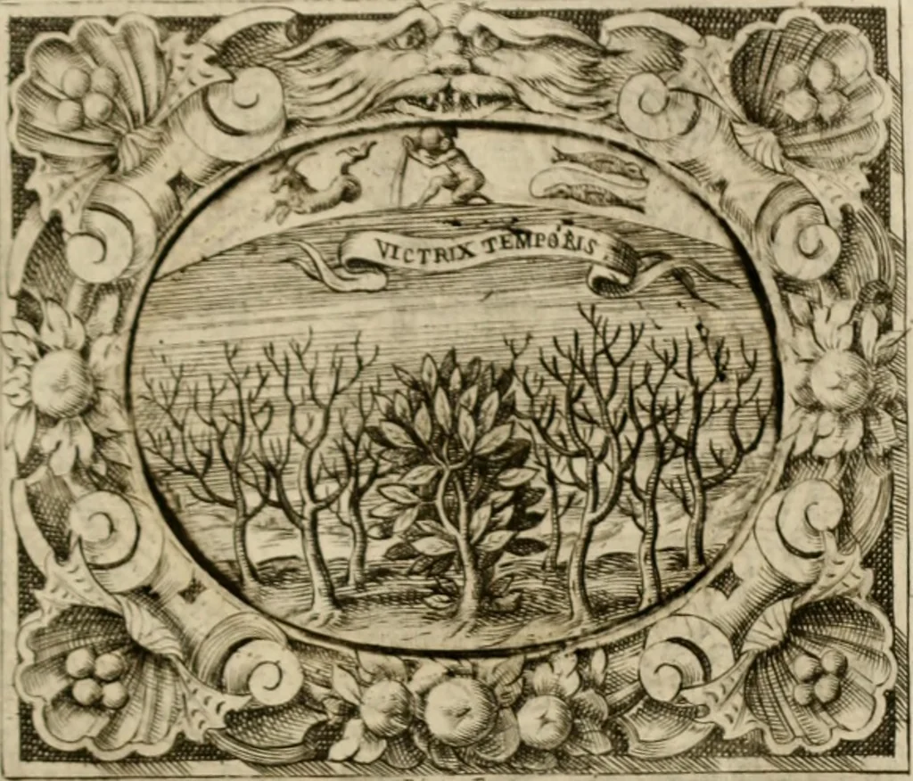 An illustration from Theatrvm temporanevm æternitati Cæsaris Montii, S.R.E. cardinalis et archiep. mediolanen. sacrvm, 1635, leaf 124