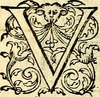 An illustration from Theatrvm Vitae Humanae, 1596, leaf 125