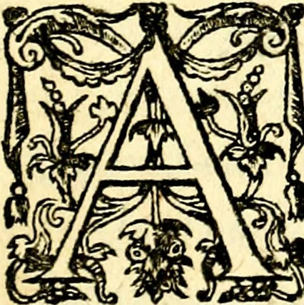 An illustration from Theatrvm Vitae Humanae, 1596, leaf 16