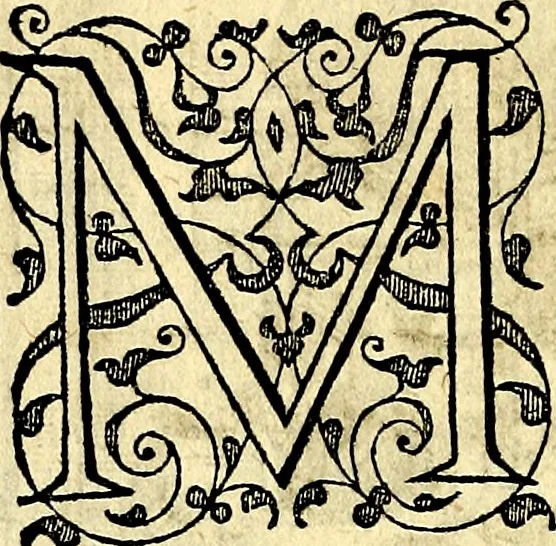 An illustration from Theatrvm Vitae Humanae, 1596, leaf 165