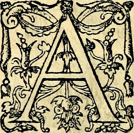 An illustration from Theatrvm Vitae Humanae, 1596, leaf 169