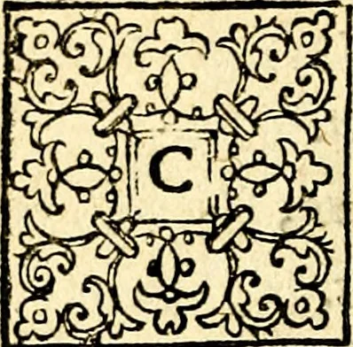 An illustration from Theatrvm Vitae Humanae, 1596, leaf 19