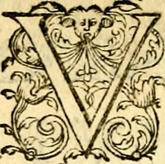 An illustration from Theatrvm Vitae Humanae, 1596, leaf 21