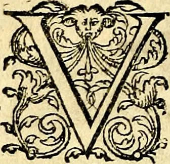 An illustration from Theatrvm Vitae Humanae, 1596, leaf 233