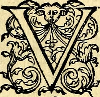 An illustration from Theatrvm Vitae Humanae, 1596, leaf 241