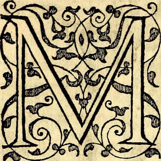 An illustration from Theatrvm Vitae Humanae, 1596, leaf 245