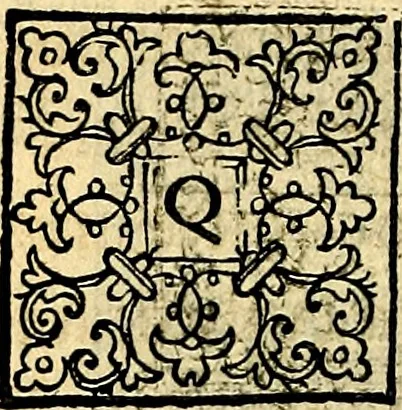 An illustration from Theatrvm Vitae Humanae, 1596, leaf 253