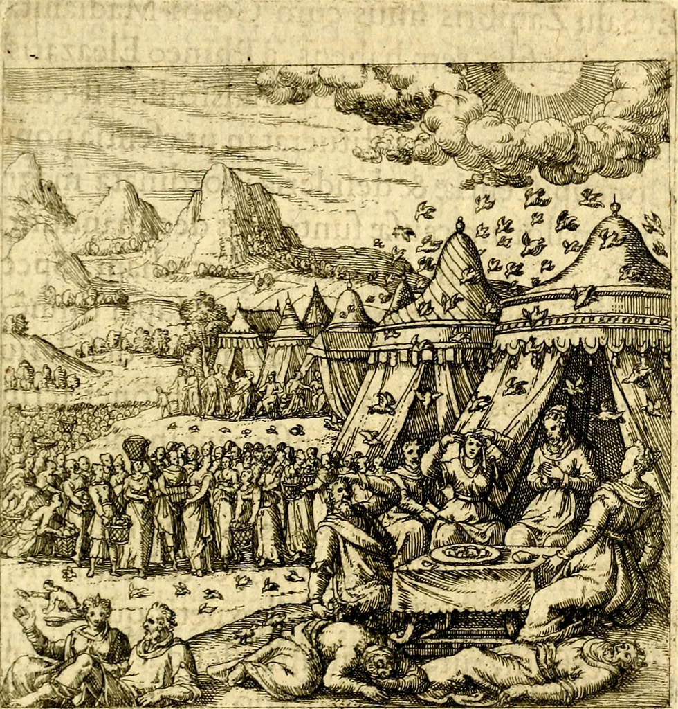 An illustration from Theatrvm Vitae Humanae, 1596, leaf 260