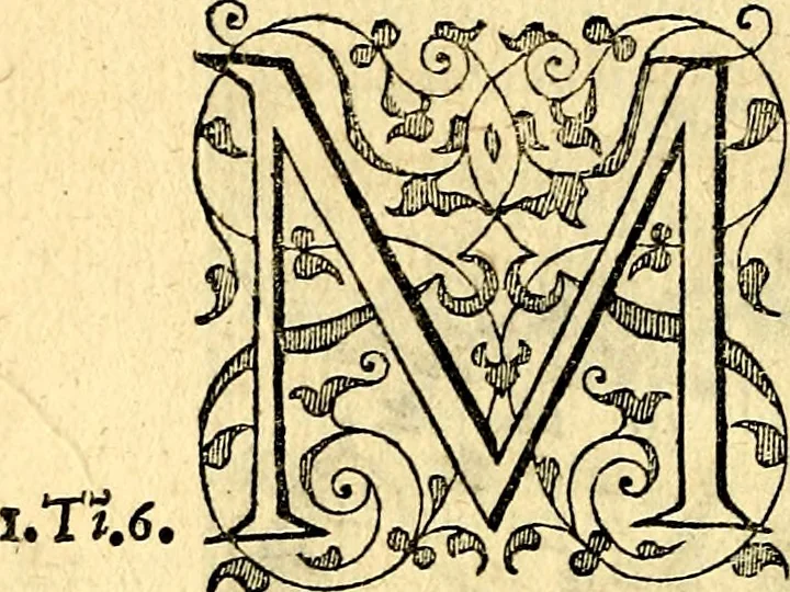 An illustration from Theatrvm Vitae Humanae, 1596, leaf 261
