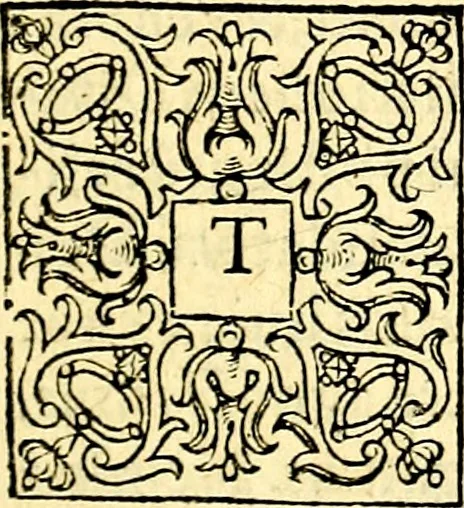 An illustration from Theatrvm Vitae Humanae, 1596, leaf 6