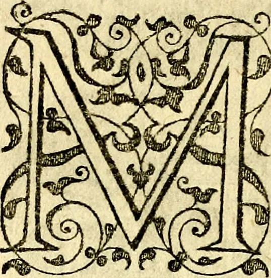 An illustration from Theatrvm Vitae Humanae, 1596, leaf 65