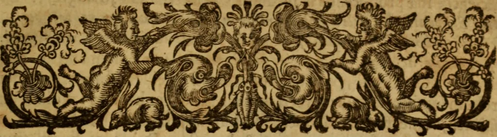 An illustration from Therapeutica sacra : seu, De curandis casibus conscientiae circa regenerationem per foederum divinorum prudentem applicationem : libri tres, 1656, leaf 12