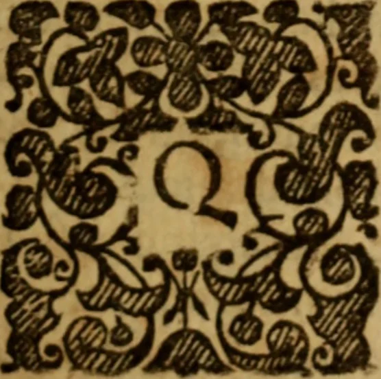An illustration from Therapeutica sacra : seu, De curandis casibus conscientiae circa regenerationem per foederum divinorum prudentem applicationem : libri tres, 1656, leaf 12