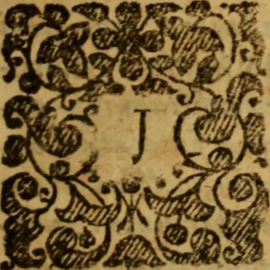 An illustration from Therapeutica sacra : seu, De curandis casibus conscientiae circa regenerationem per foederum divinorum prudentem applicationem : libri tres, 1656, leaf 8