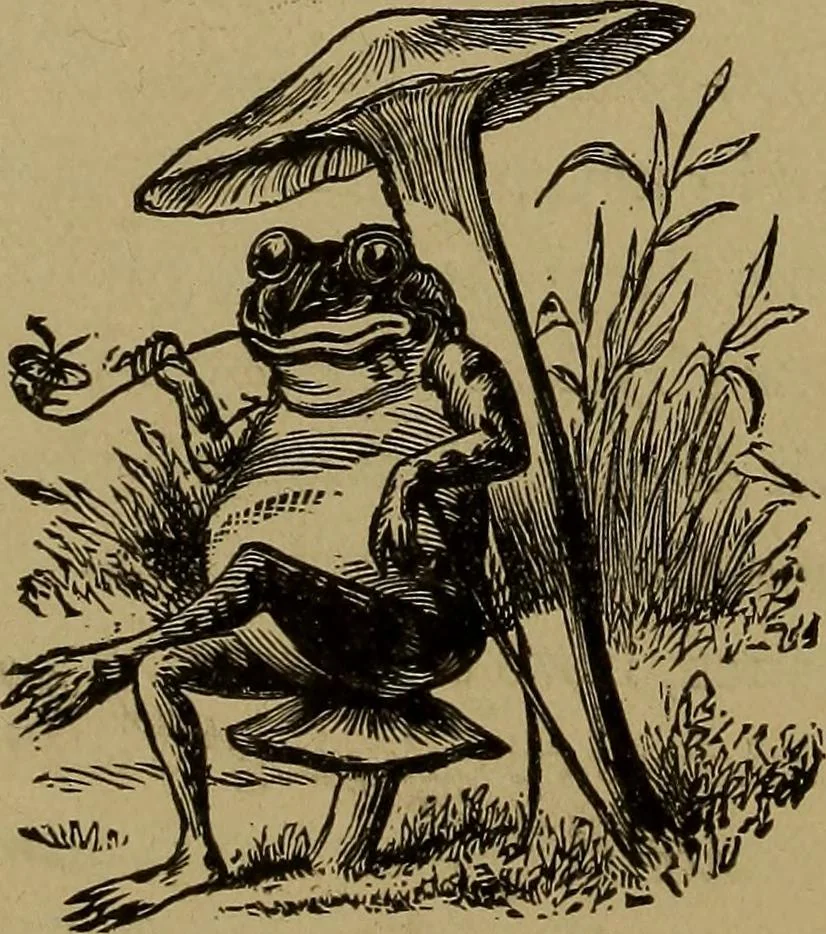 An illustration from "The law and the prophets." A scientific work on the relationship between physical bodies, vegetable, animal, human and planetary .., 1893, leaf 13