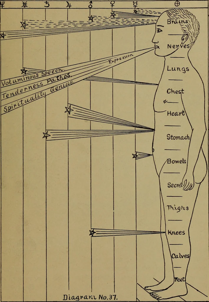 An illustration from "The law and the prophets." A scientific work on the relationship between physical bodies, vegetable, animal, human and planetary .., 1893, leaf 164