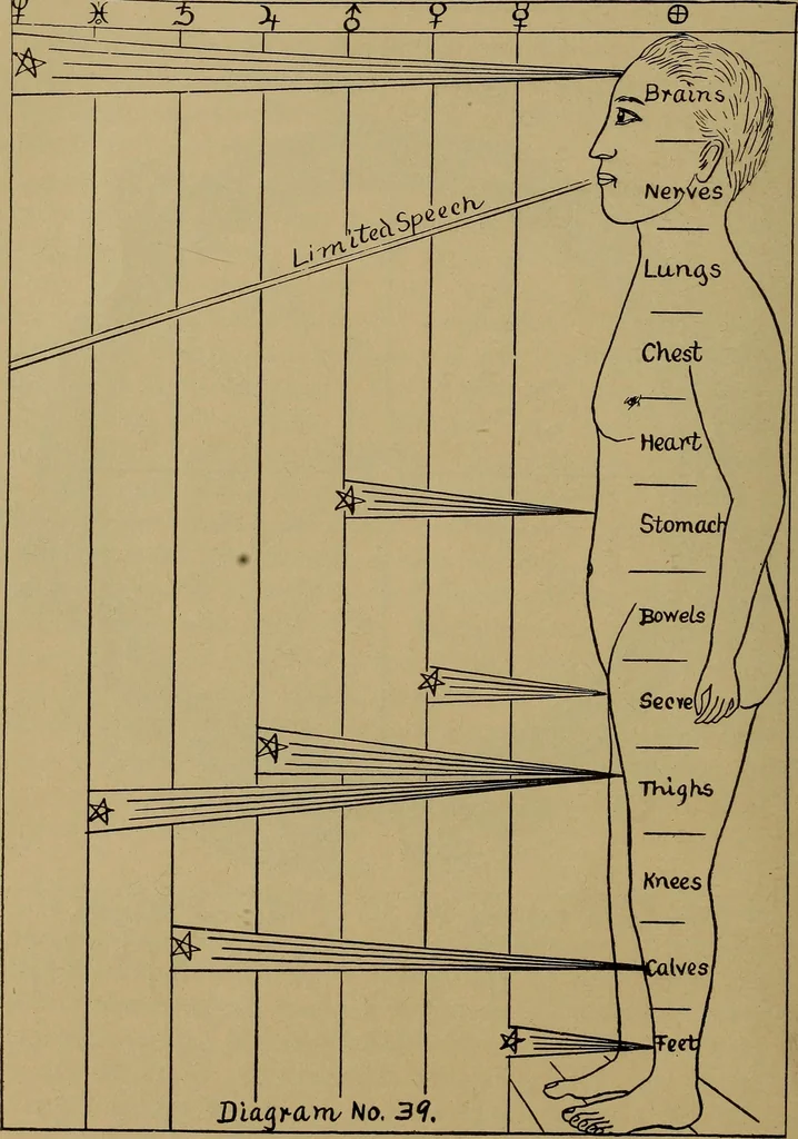 An illustration from "The law and the prophets." A scientific work on the relationship between physical bodies, vegetable, animal, human and planetary .., 1893, leaf 167