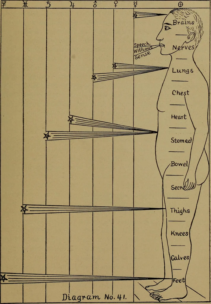 An illustration from "The law and the prophets." A scientific work on the relationship between physical bodies, vegetable, animal, human and planetary .., 1893, leaf 170