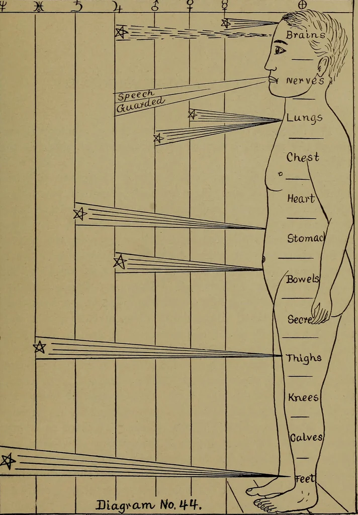 An illustration from "The law and the prophets." A scientific work on the relationship between physical bodies, vegetable, animal, human and planetary .., 1893, leaf 174