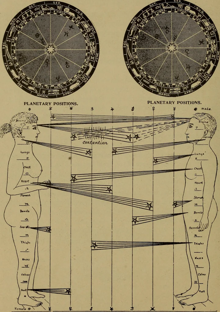 An illustration from "The law and the prophets." A scientific work on the relationship between physical bodies, vegetable, animal, human and planetary .., 1893, leaf 183