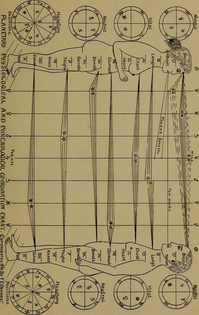 An illustration from "The law and the prophets." A scientific work on the relationship between physical bodies, vegetable, animal, human and planetary .., 1893, leaf 184