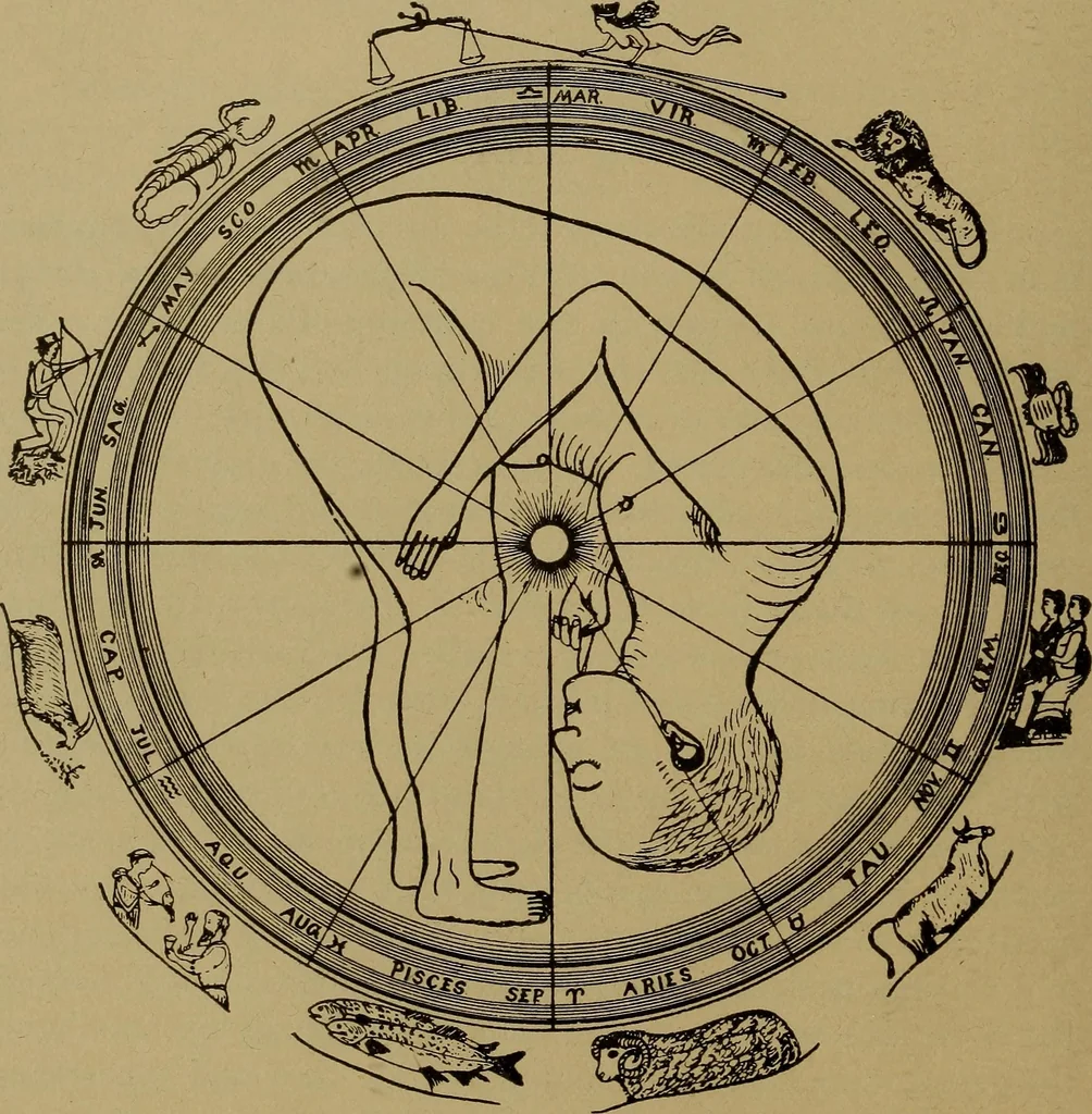 An illustration from "The law and the prophets." A scientific work on the relationship between physical bodies, vegetable, animal, human and planetary .., 1893, leaf 49