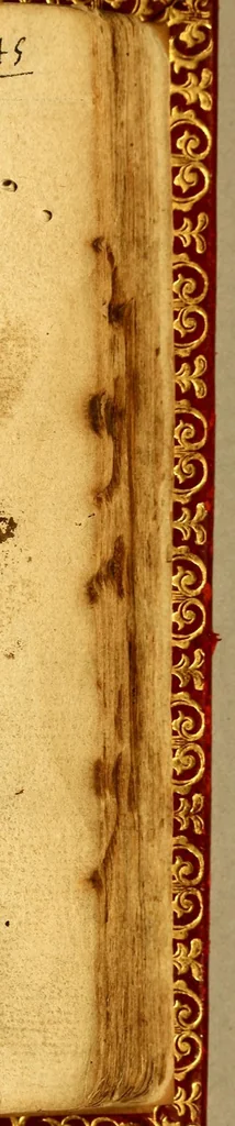An illustration from Thema para que se oy galaboz del señor, 1559, leaf 293