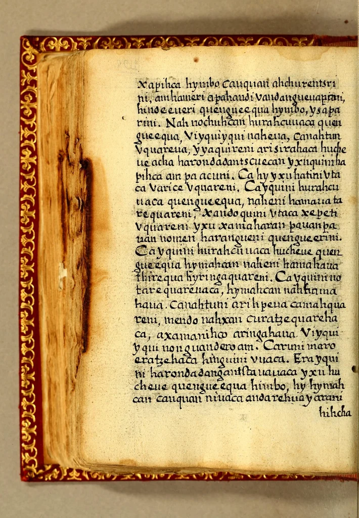 An illustration from Thema para que se oy galaboz del señor, 1559, leaf 394