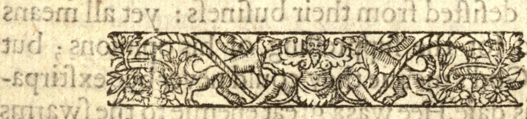 An illustration from The marrow of ecclesiastical historie, conteined in the lives of the fathers and other learned men and famous divines which have flourished in the Church since Christ's time to this present age. Faithfully collected out of several autors and orderly disposed according to the centuries wherein they lived. Together with the livelie effigies of most of the eminentest of them cut in copper, 1650, leaf 111
