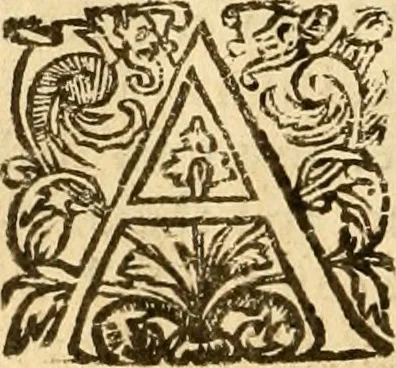 An illustration from [The New Testament of Iesus Christ : faithfully translated into English ... in the English College of Rhemes], 1582, leaf 205