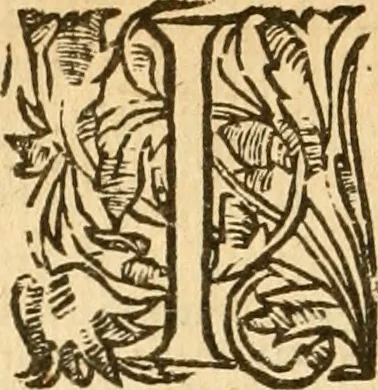 An illustration from [The New Testament of Iesus Christ : faithfully translated into English ... in the English College of Rhemes], 1582, leaf 257