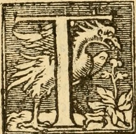 An illustration from [The New Testament of Iesus Christ : faithfully translated into English ... in the English College of Rhemes], 1582, leaf 265