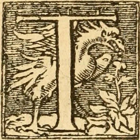 An illustration from [The New Testament of Iesus Christ : faithfully translated into English ... in the English College of Rhemes], 1582, leaf 31