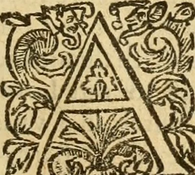 An illustration from [The New Testament of Iesus Christ : faithfully translated into English ... in the English College of Rhemes], 1582, leaf 316