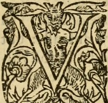 An illustration from [The New Testament of Iesus Christ : faithfully translated into English ... in the English College of Rhemes], 1582, leaf 374
