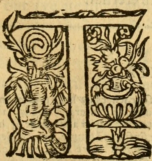 An illustration from [The New Testament of Iesus Christ : faithfully translated into English ... in the English College of Rhemes], 1582, leaf 456