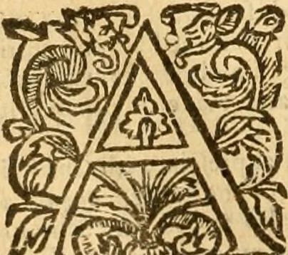 An illustration from [The New Testament of Iesus Christ : faithfully translated into English ... in the English College of Rhemes], 1582, leaf 47