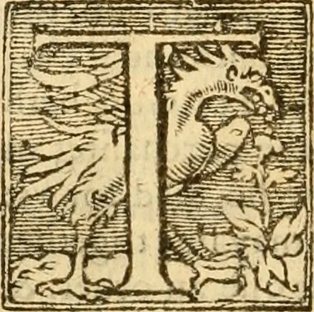 An illustration from [The New Testament of Iesus Christ : faithfully translated into English ... in the English College of Rhemes], 1582, leaf 531