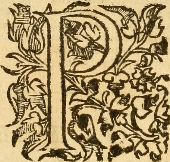 An illustration from [The New Testament of Iesus Christ : faithfully translated into English ... in the English College of Rhemes], 1582, leaf 565