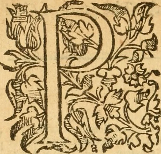 An illustration from [The New Testament of Iesus Christ : faithfully translated into English ... in the English College of Rhemes], 1582, leaf 579