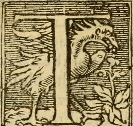 An illustration from [The New Testament of Iesus Christ : faithfully translated into English ... in the English College of Rhemes], 1582, leaf 600