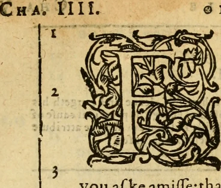 An illustration from [The New Testament of Iesus Christ : faithfully translated into English ... in the English College of Rhemes], 1582, leaf 628